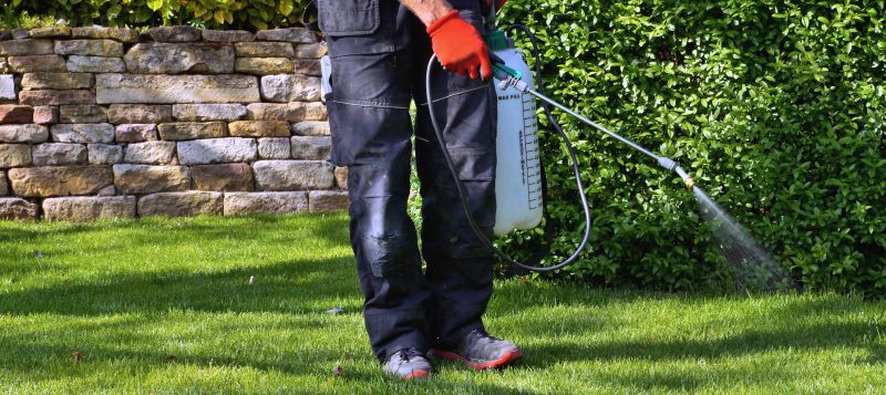 Lawn Weed Spraying in Honolulu, HI