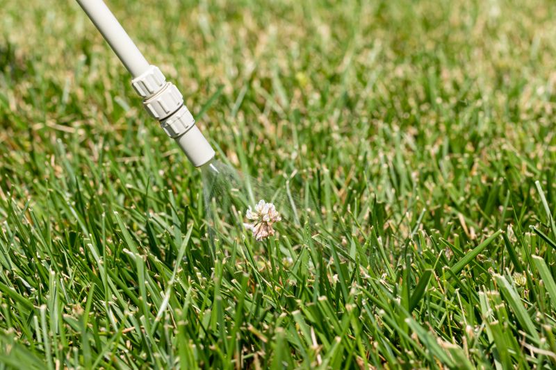 Crabgrass Prevention in Ventura County, CA