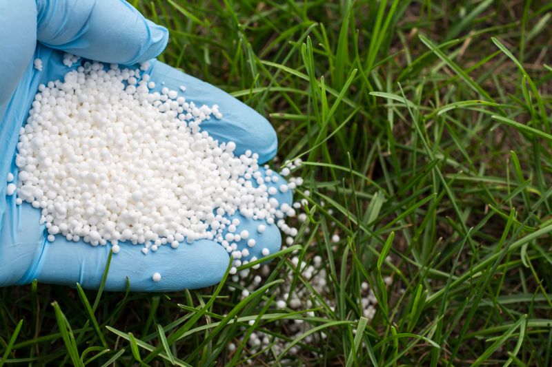 Grass Fertilizing Service in Ventura County, CA