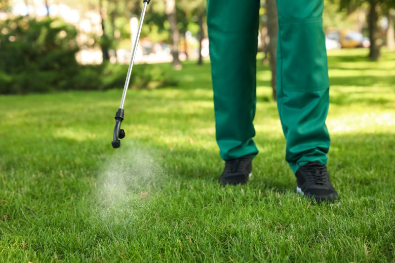 Lawn Disease Treatment in Honolulu, HI