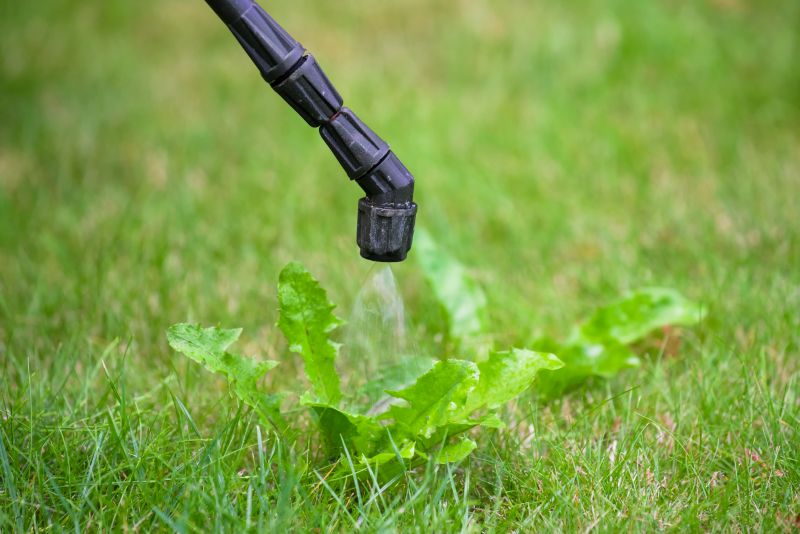 Lawn Herbicide Treatment in Honolulu, HI