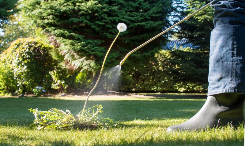 Lawn Weed Control in Rockwall, TX