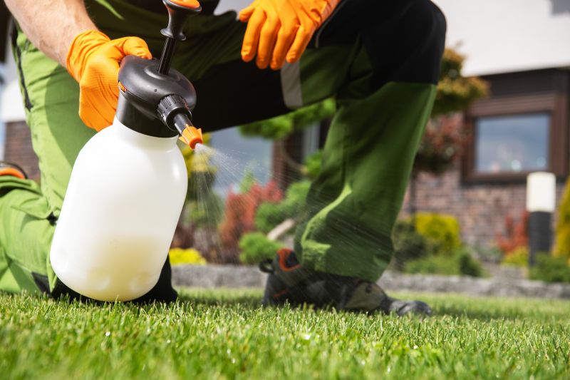 Pampas Grass Control in Ventura County, CA