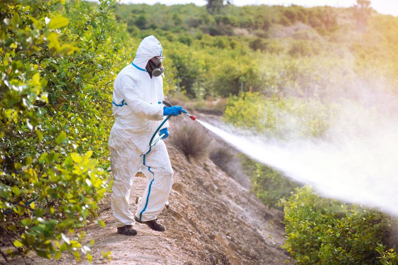 Thistle Control in Honolulu, HI