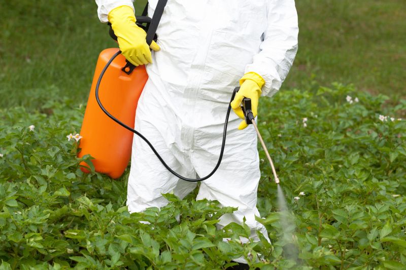 Thistle Control in Ventura County, CA