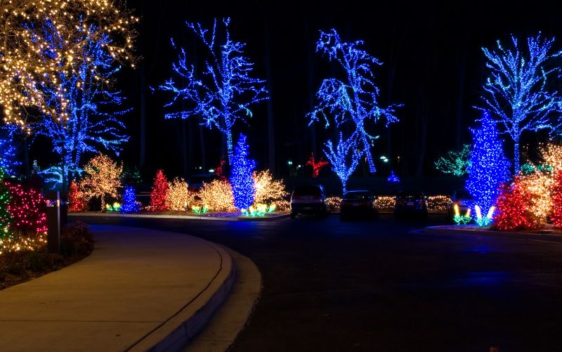Yard Lights Installation in Honolulu, HI